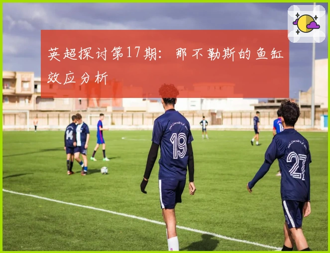 英超探讨第17期：那不勒斯的鱼缸效应分析